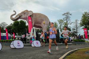 BIB: 
                            <button type="button" onclick="openModal(26528943)" class="btn btn-primary btn-sm float-right btn-popup" data-toggle="modal" data-target=".modal-high-quality">
                        <i class="fas fa-shopping-cart"></i> Add to Cart
                    </button>
                                            <button type="button" onclick="isThisMe(26528943, true)" class="btn btn-success btn-sm float-right btn-popup btn-isme hidden" data-toggle="tooltip" data-placement="bottom" title="นี่คือรูปของคุณใช่ไหม คลิกที่นี่เพื่อเอาเข้าอัลบั้ม">
                        <i class="fas fa-plus"></i> Add to album
                    </button>
                    <button type="button" onclick="isThisMe(26528943, false)" class="btn btn-warning btn-sm float-right btn-popup btn-isnotme hidden">
                        <i class="fas fa-ban"></i> Remove from album
                    </button>